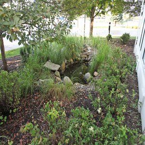 Hilton Garden Chesterton